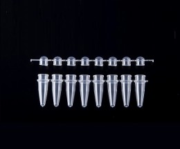 PCRチューブ02mL8連円蓋　120本