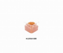 イオン交換樹脂IRI-10新品樹脂充填費