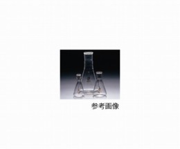 共通摺合三角フラスコ0101-06-40