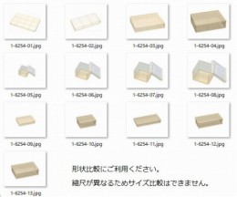 持続性透明帯電防止ケース　EBK3