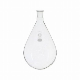 SPCなす形フラスコ030120-292