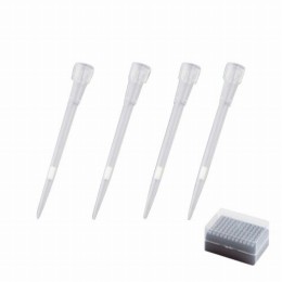 F付チップBMT2-FSSRB滅菌10箱