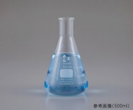 三角フラスコ　212162403