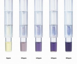 ヒスタミンチェックスワブ　60448