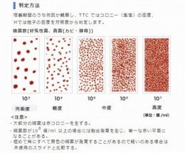 バイオチェッカー　TTC　10本入