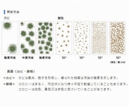 バイオチェッカー　M　10本入