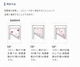 バイオチェッカー　FC　10本入