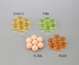 オートクレーブ用脱臭剤　CLASSIC　100入