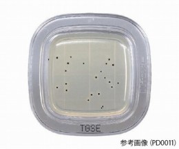 ぺたんチェックDD　PD0011
