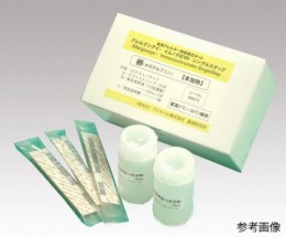 054231　小麦　未加熱用5回