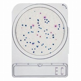 コンパクトドライ06742EC　40枚