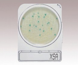 コンパクトドライ　06729　X-SA