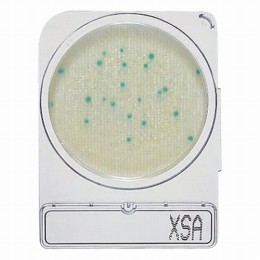 コンパクトドライ　06729　X-SA