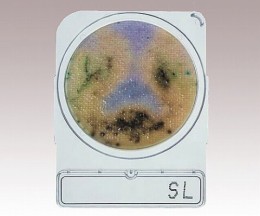 コンパクトドライ06732SL　40枚