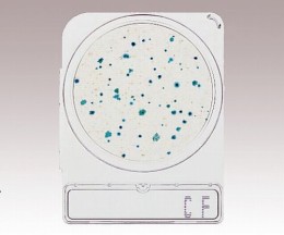 コンパクトドライ06744CF　40枚