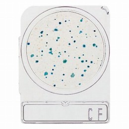 コンパクトドライ06744CF　40枚