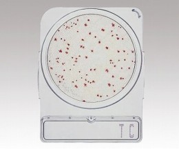 コンパクトドライ　06740　TC