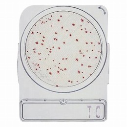 コンパクトドライ　06740　TC