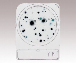 コンパクトドライ06746YM　40枚