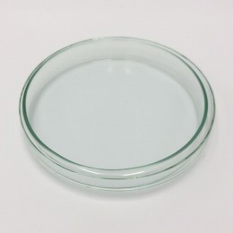 スタンダードシャーレ120/20