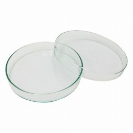 スタンダードシャーレ120/20