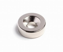 ネオジム磁石NR216　10個入