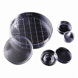Dish　35X10mm　TC　EZGr