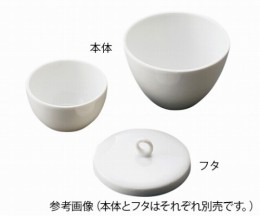 磁製るつぼ　CR-20