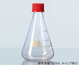 キャップ付三角フラスコ218034452