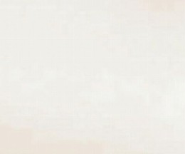 ミーティングチェア ホワイト SFIDA WH
