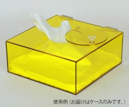 ESDアクリルケース　CC-982