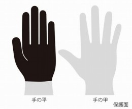 グローブ　CPB0-3000-2090