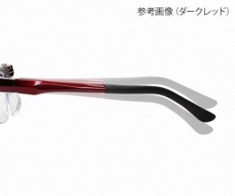 エニックスルーペ　ALF-10-2
