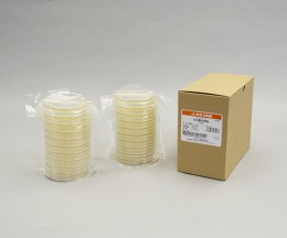 生培地　SCD寒天　20枚入