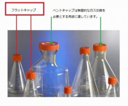 431145　三角フラスコ