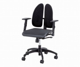 WR-920R肘掛け付き　バック楽チェア