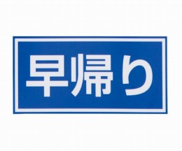 ZS251W　早帰り　電波時計