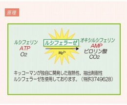 ATP微生物検査キット 250プラス 60312