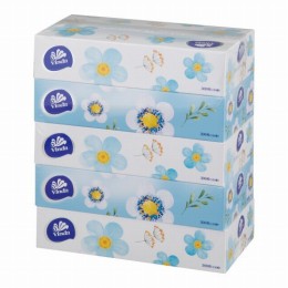 ティッシュペーパー　VINDABOX5個/箱