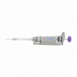 IT-skeleton　ITC-20N