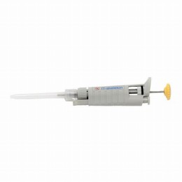 IT-skeleton　ITC-200N