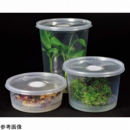 植物培養容器 C174-25EA 25個入