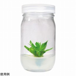 植物培養容器 C590-12EA 12個入