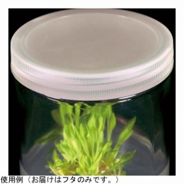 植物培養容器 C566-100EA 100個入