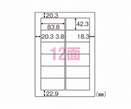 ELM007　エコノミーラベルA4　百枚