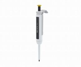 0020011221　Pettefix