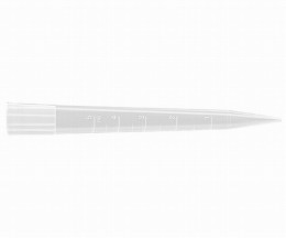 0020017829　Tip　L　bag