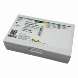 リフレクトクァント16992-1M50枚