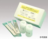 054231　小麦　未加熱用5回