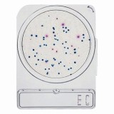 コンパクトドライ06742EC　40枚